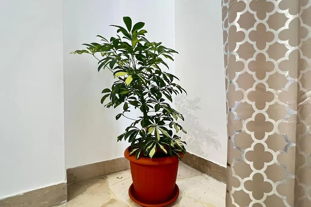 New And Elegant Apartment On The Navigli Netflix E Disney Milan 0*,  Italy